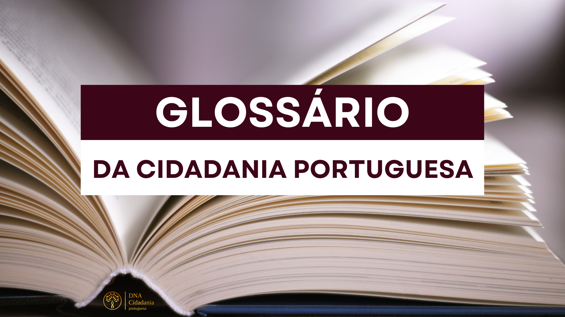 Cidadania Portuguesa – GLOSSÁRIO